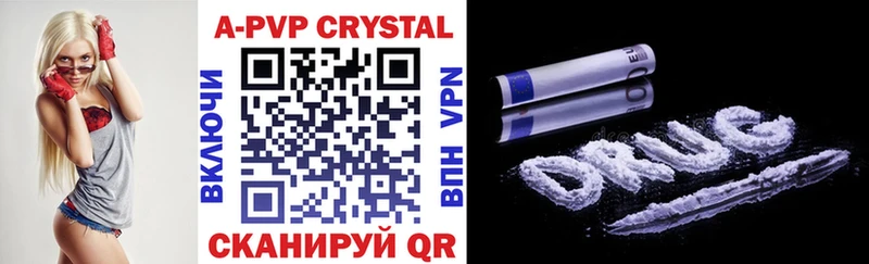 A PVP СК КРИС  Муравленко 