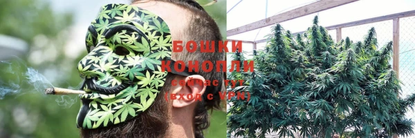гидра Нязепетровск