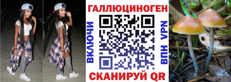 дарк нет клад  KRAKEN ссылки  Муравленко  Псилоцибиновые грибы мухоморы 