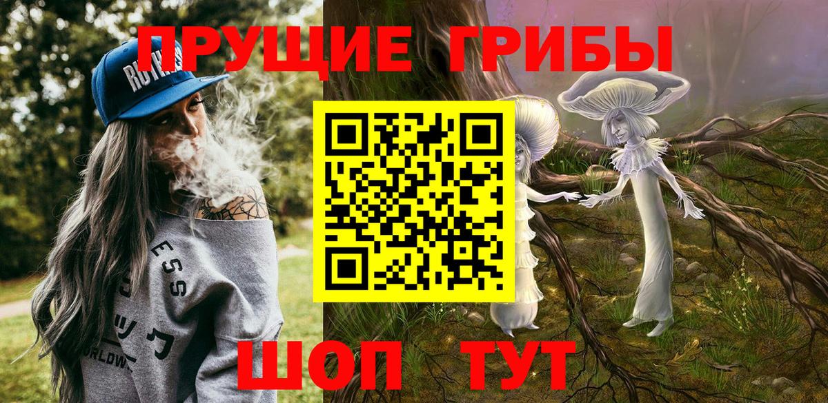 Псилоцибиновые грибы мицелий Муравленко